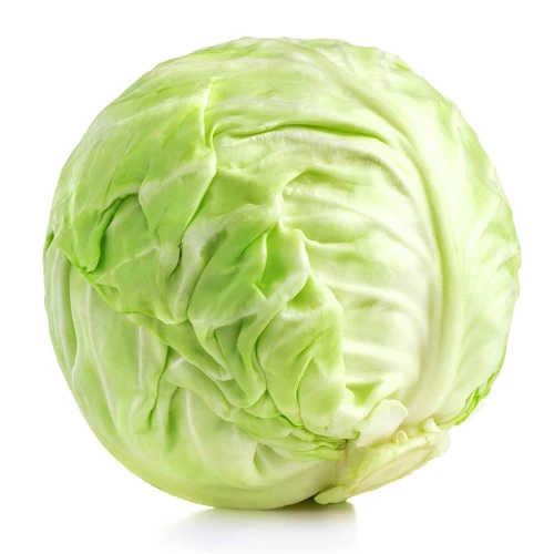 kapusta-biała.jpg