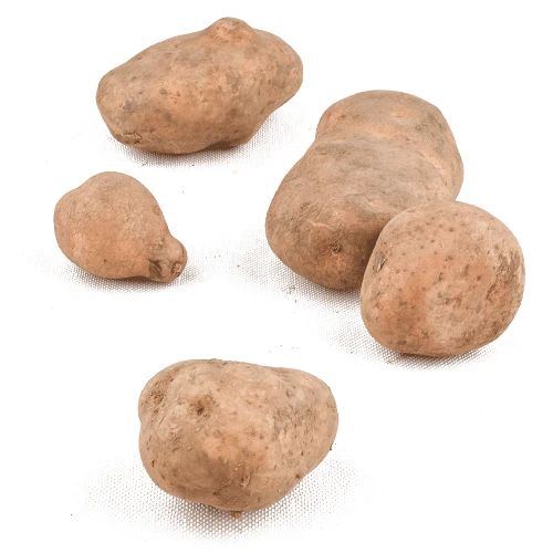 ziemniaki.png