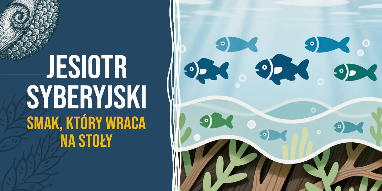 Jesiotr syberyjski – jak smakuje, jak go przygotować i gdzie kupić świeżą rybę premium?