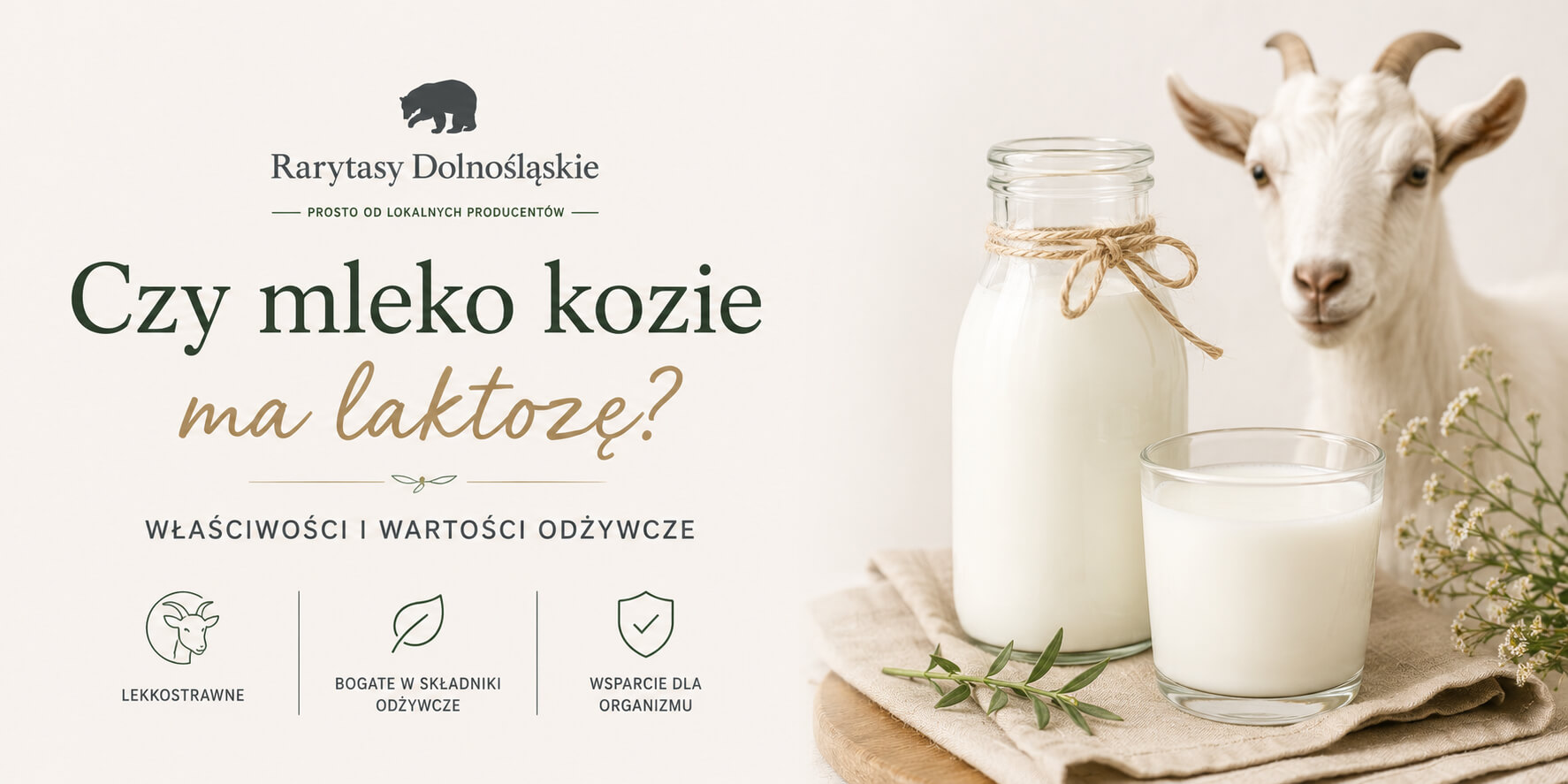 Czy mleko kozie ma laktozę? Właściwości i wartości odżywcze